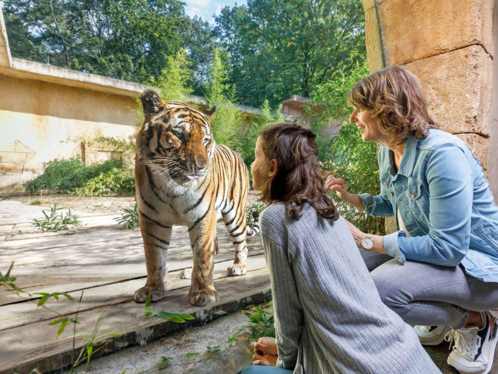 Ein Mädchen und eine Frau sitzen ganz nah vor einem Tiger im Zoo.